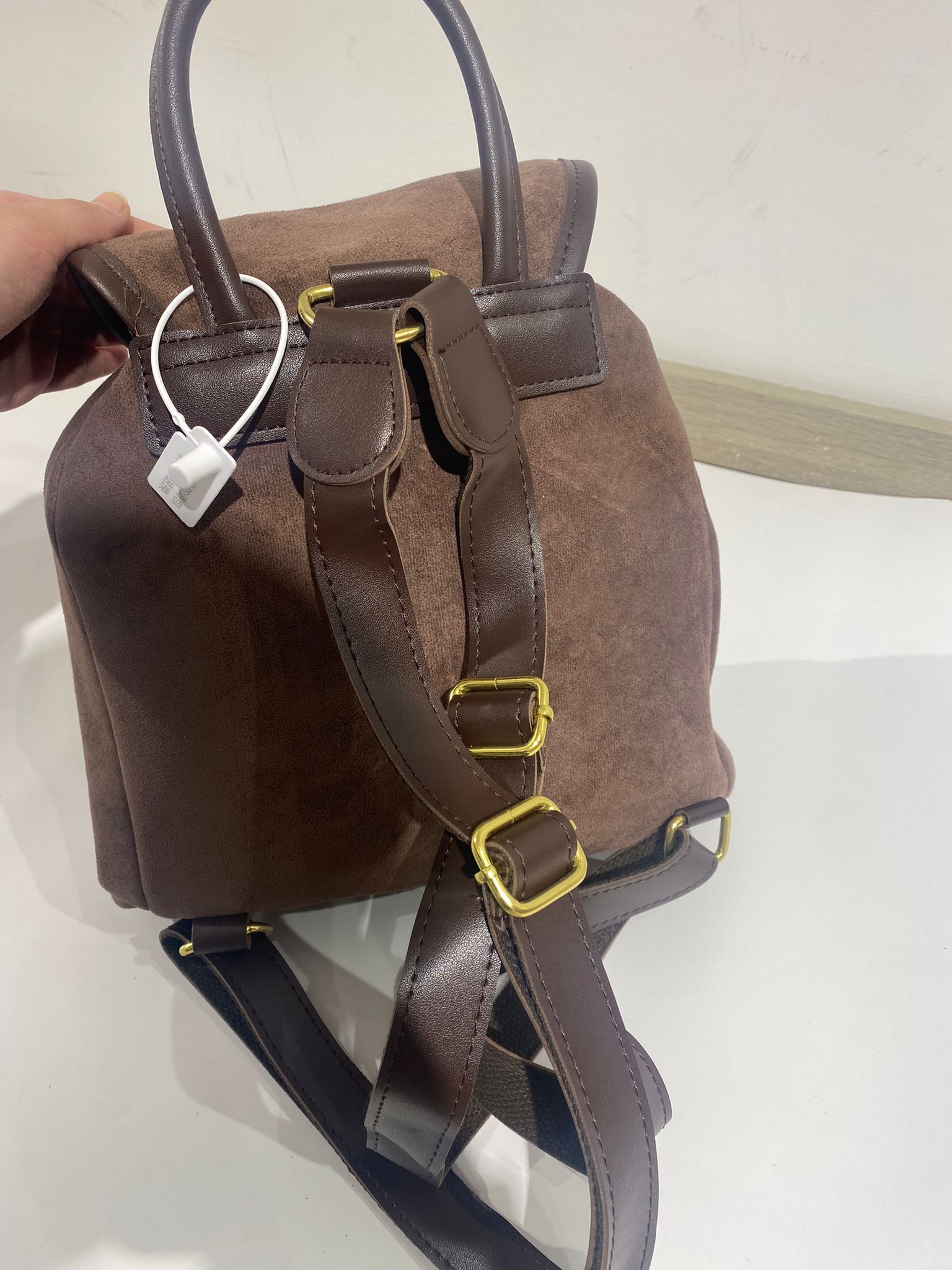 شنتة ظهر شمواه